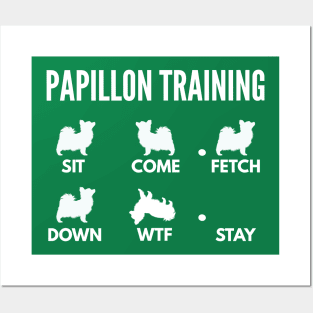 Papillon Training Papillon Dog Tricks Posters and Art